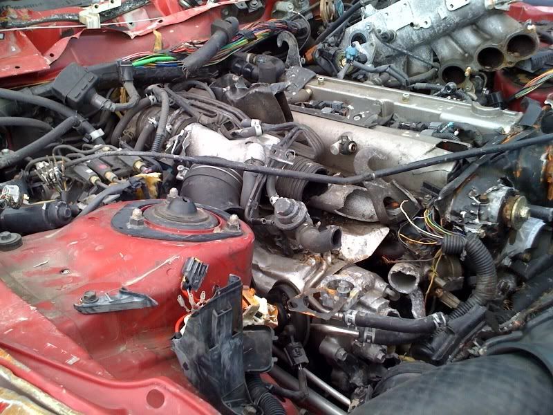 p1267483_6.jpg