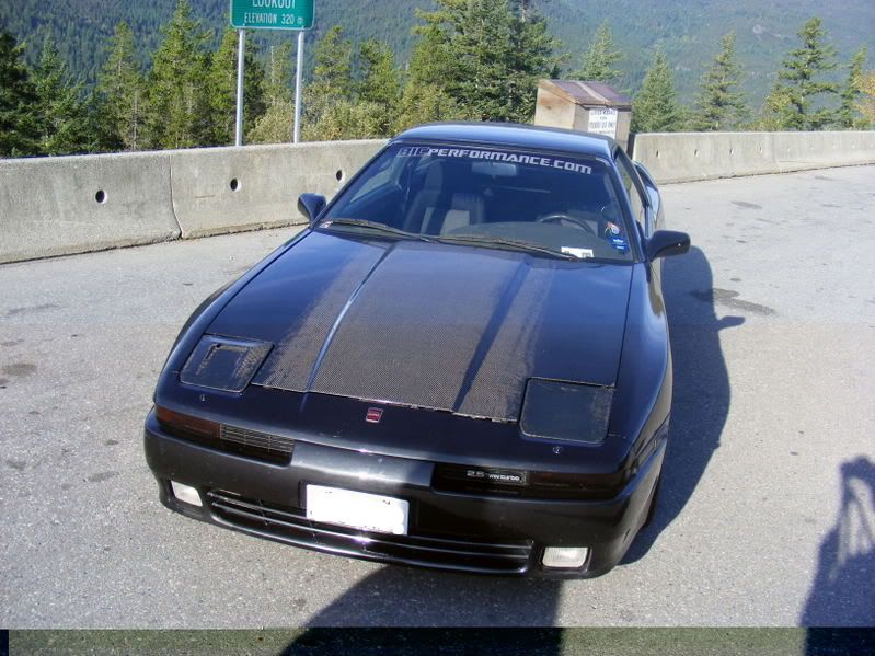 p1275148_1.jpg