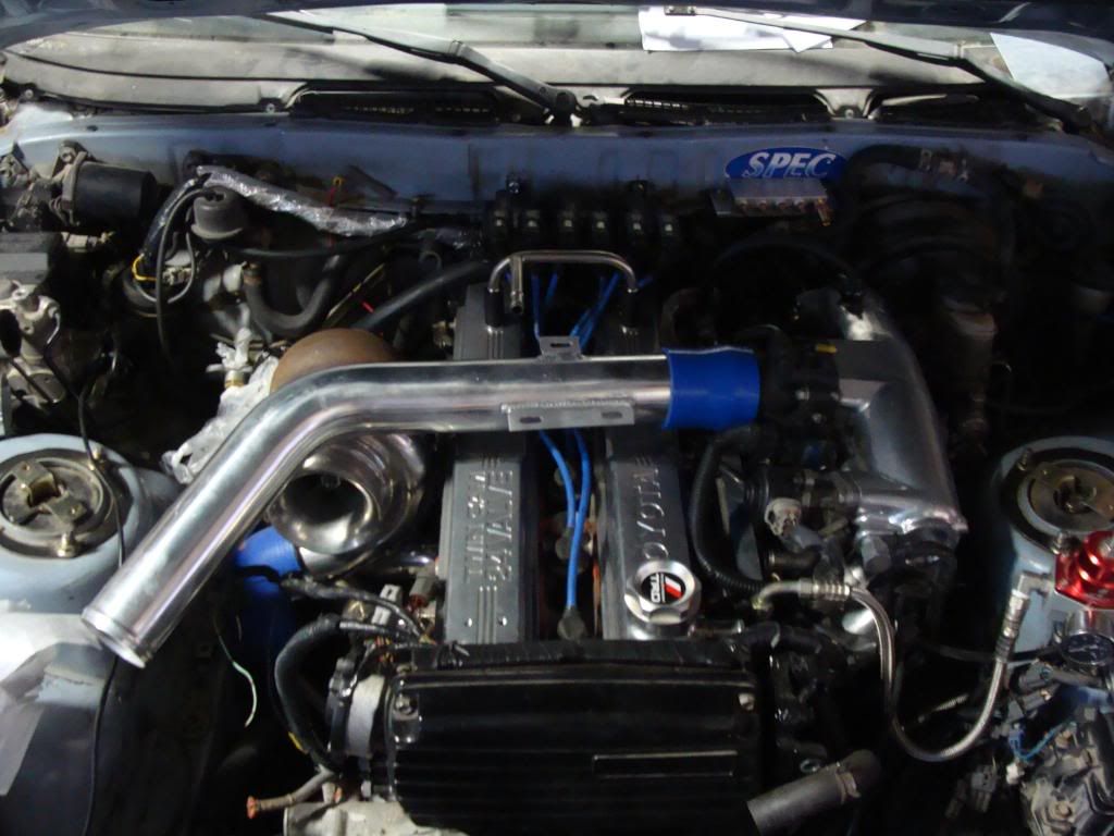 p1276823_1.jpg
