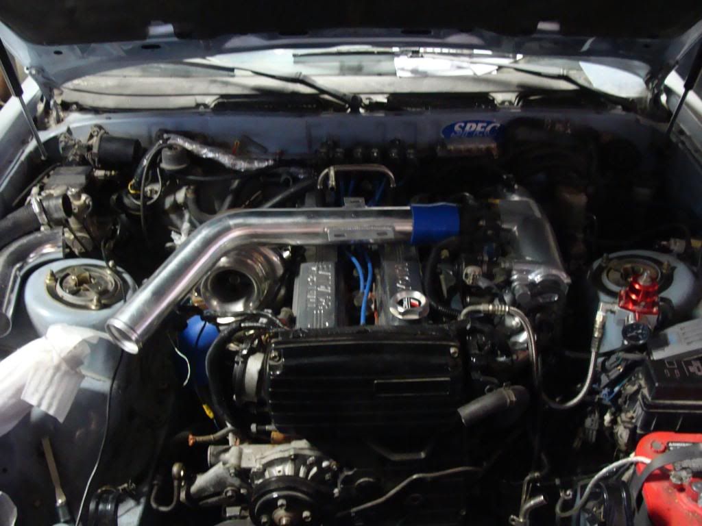 p1276823_2.jpg