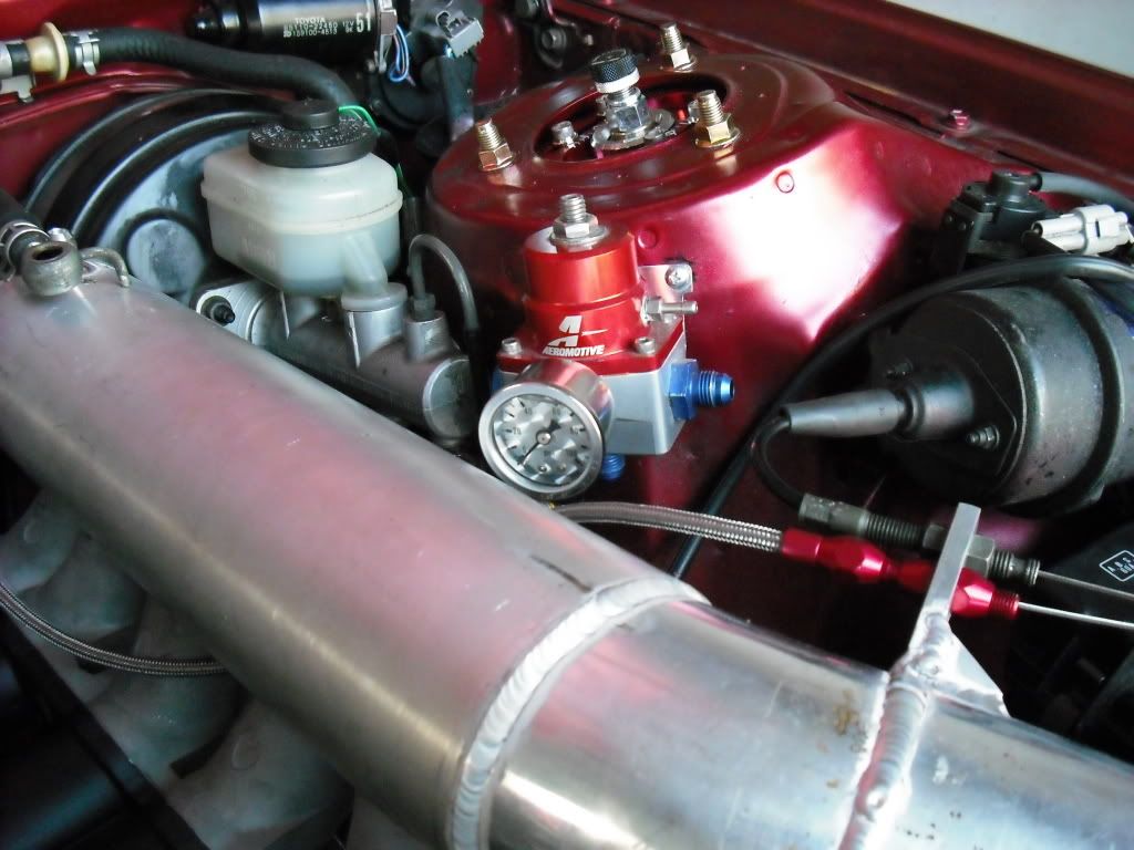 p1278209_1.jpg