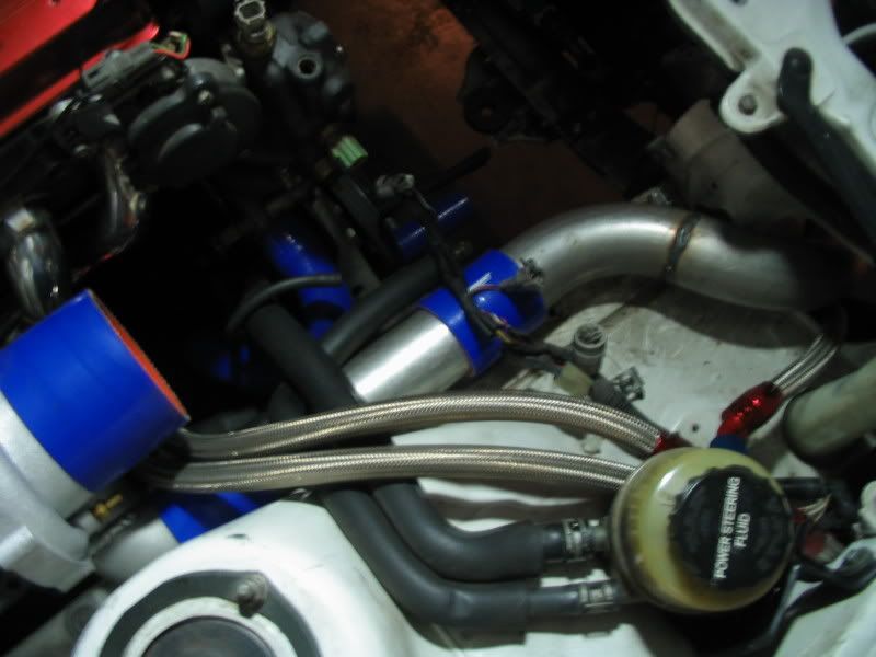 p1280771_1.jpg