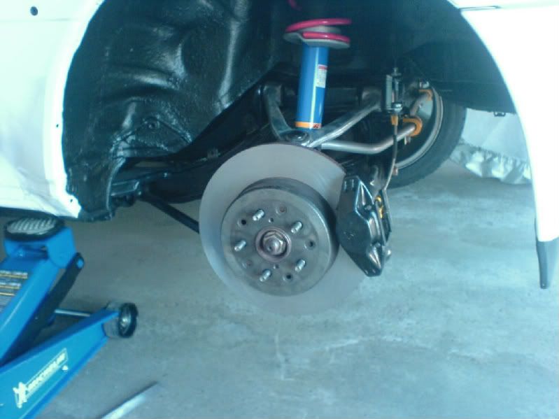 p1288788_1.jpg