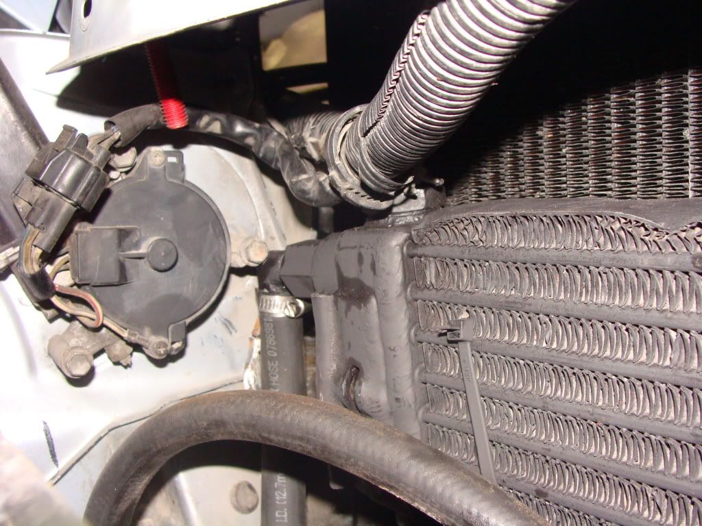p1290224_3.jpg