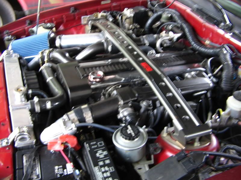 p1293689_1.jpg