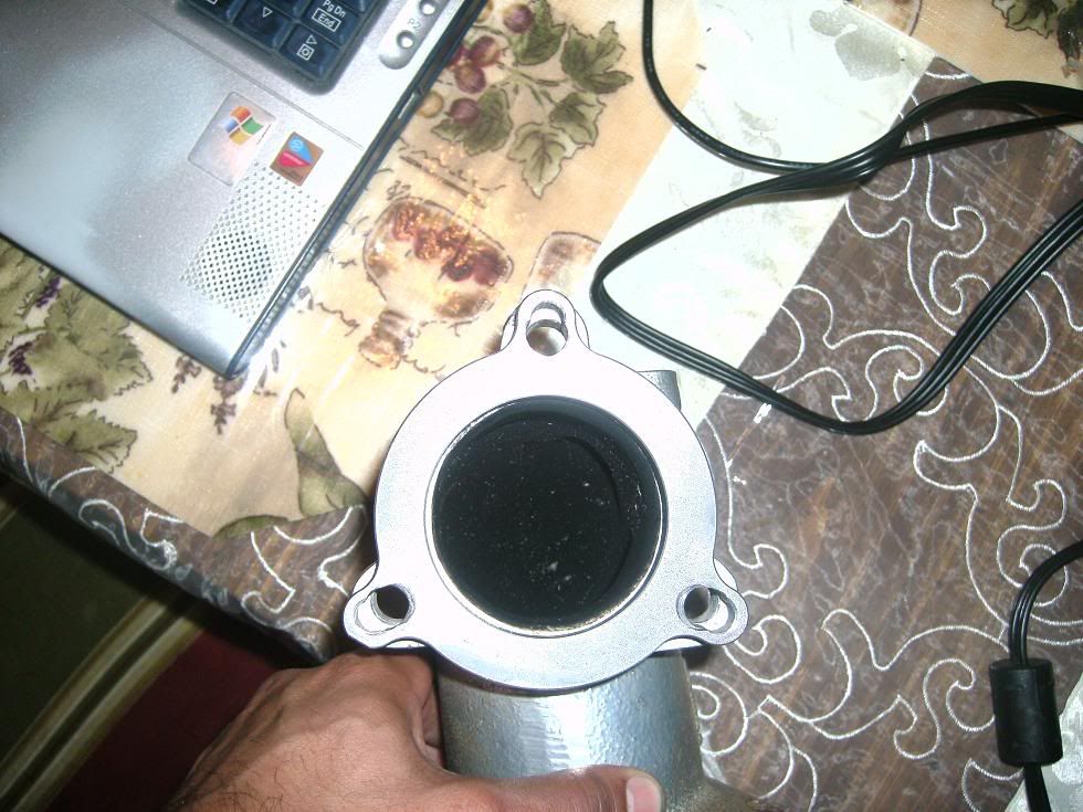 p1299276_2.jpg