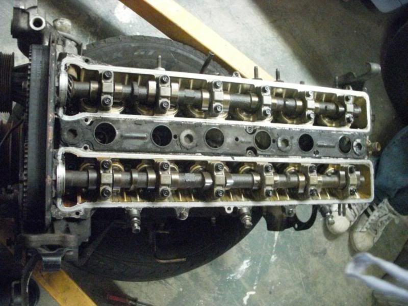 p1304086_3.jpg