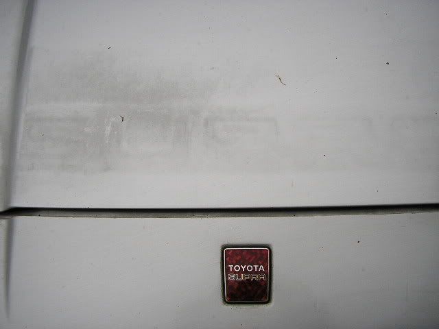 p1306623_1.jpg