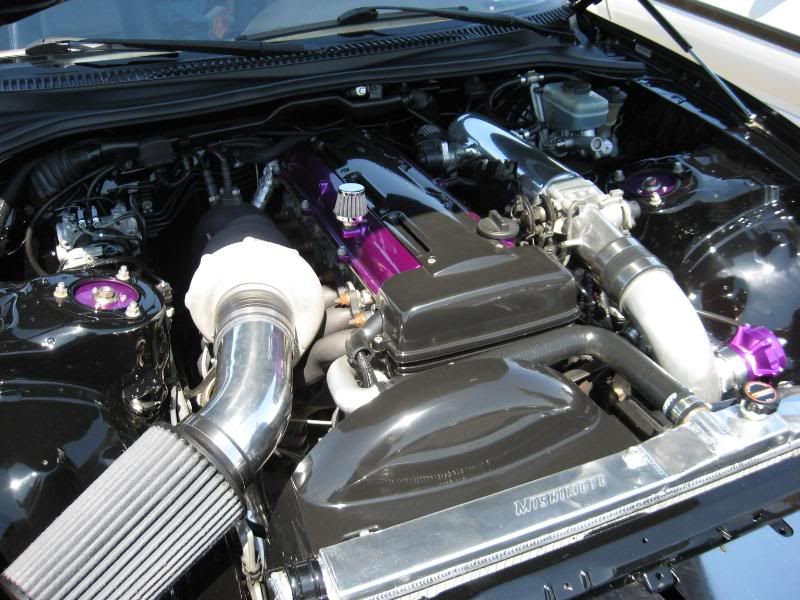 p1314342_1.jpg