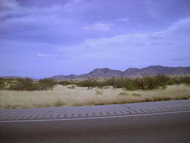 p1314789_8.jpg