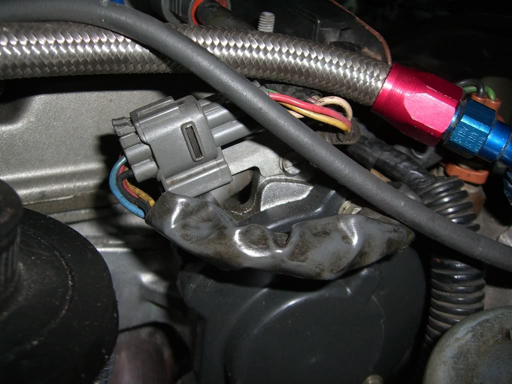 p1320939_1.jpg