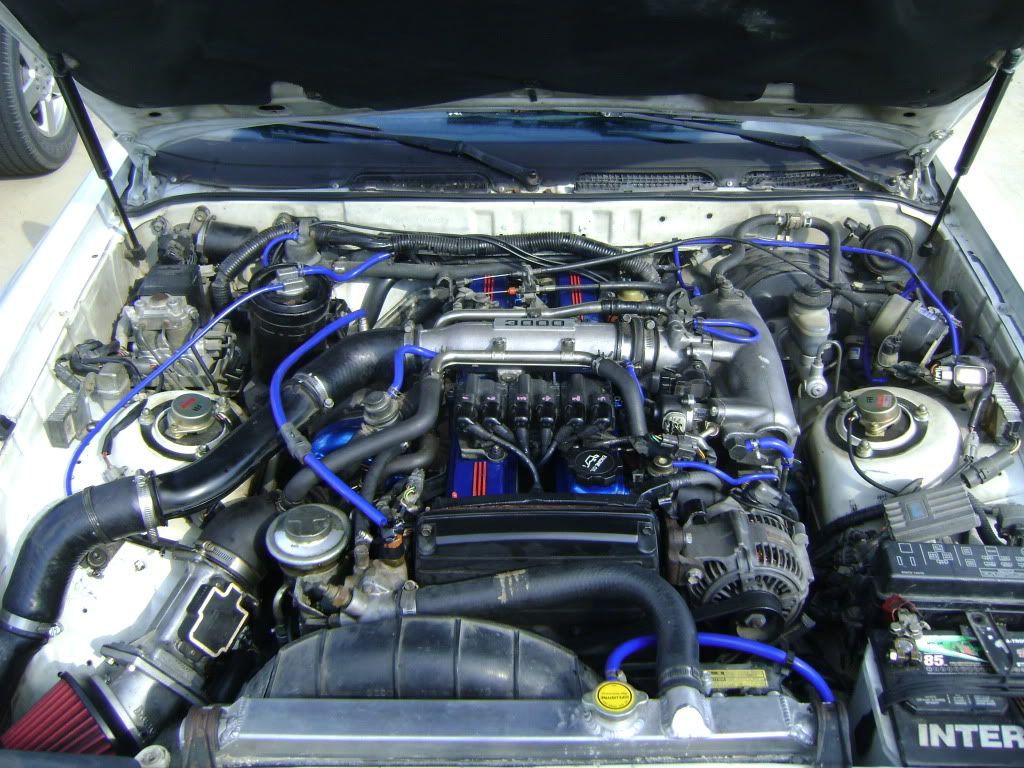 p1327871_1.jpg