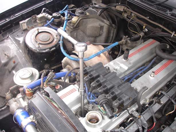 p1329335_19.jpg