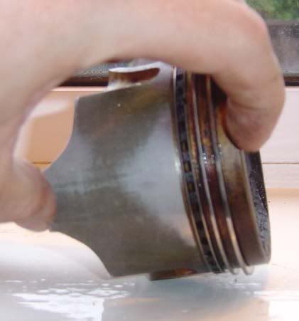 p1329373_6.jpg