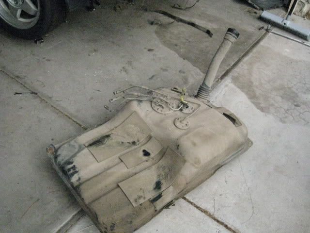 p1331300_1.jpg