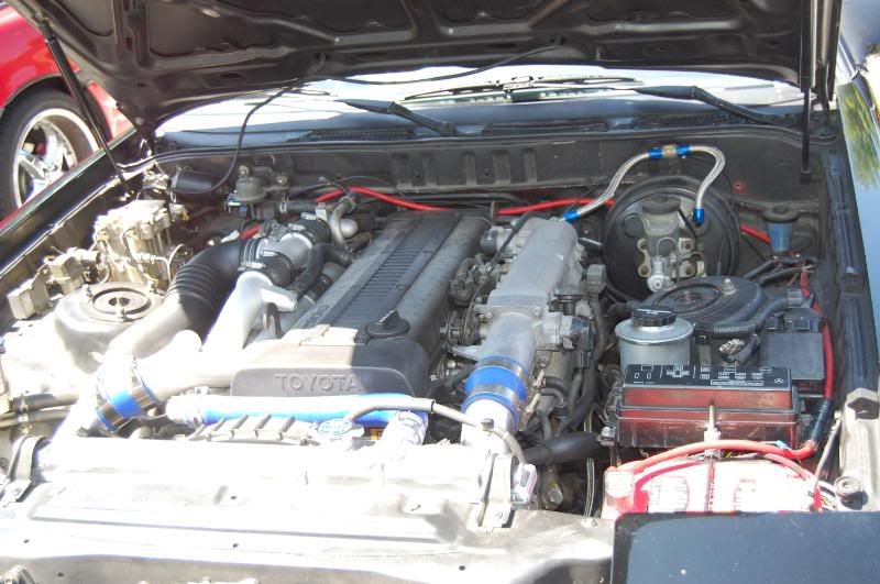 p1344400_12.jpg