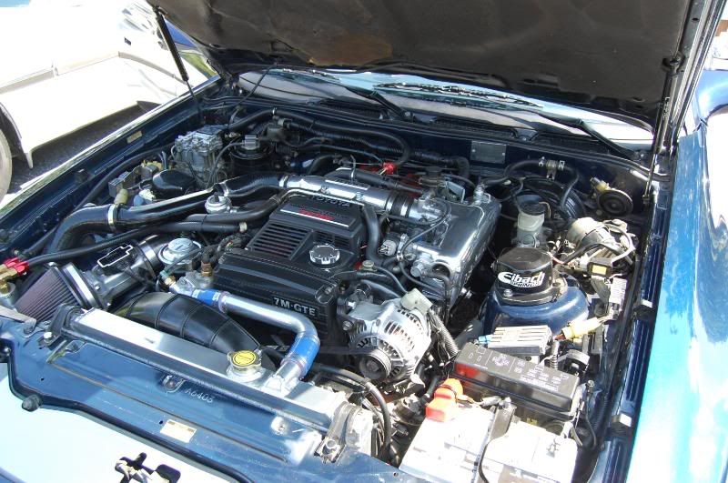 p1344400_3.jpg