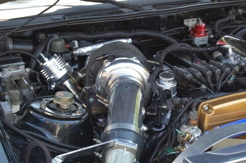 p1344403_1.jpg