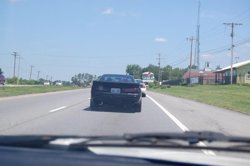 p1344403_4.jpg