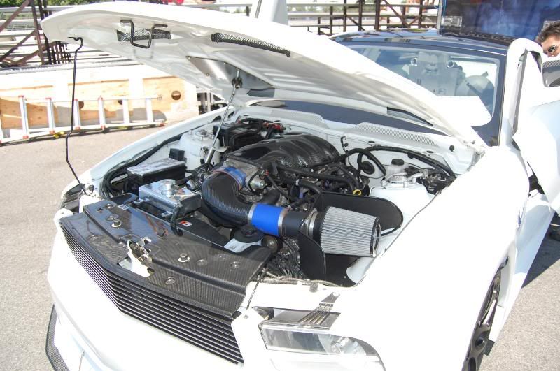 p1344410_2.jpg