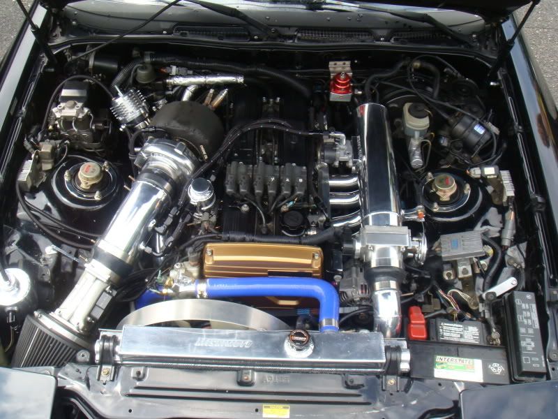 p1350274_1.jpg