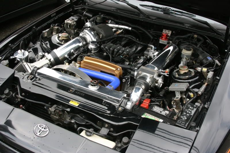 p1350275_1.jpg