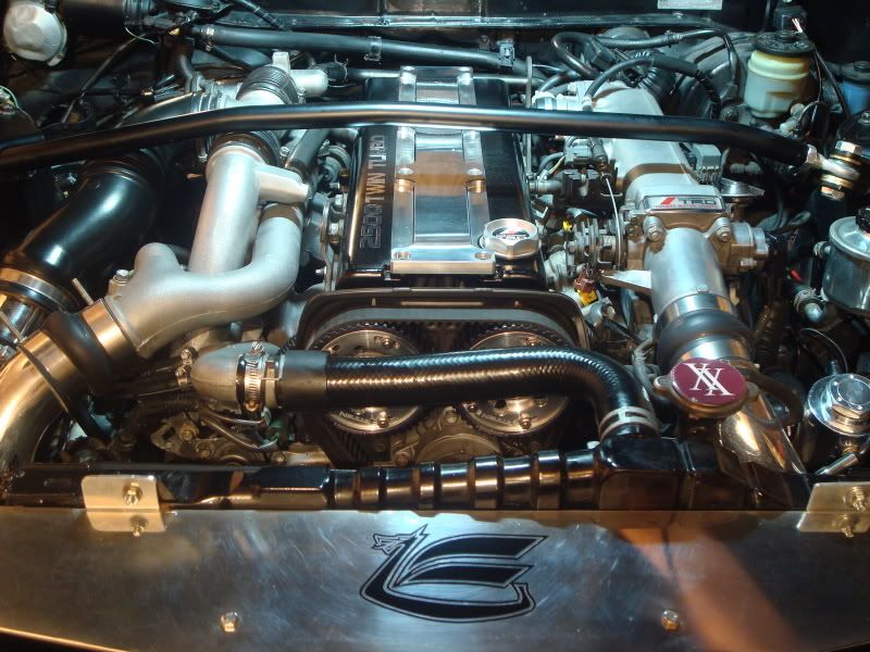p1352102_2.jpg