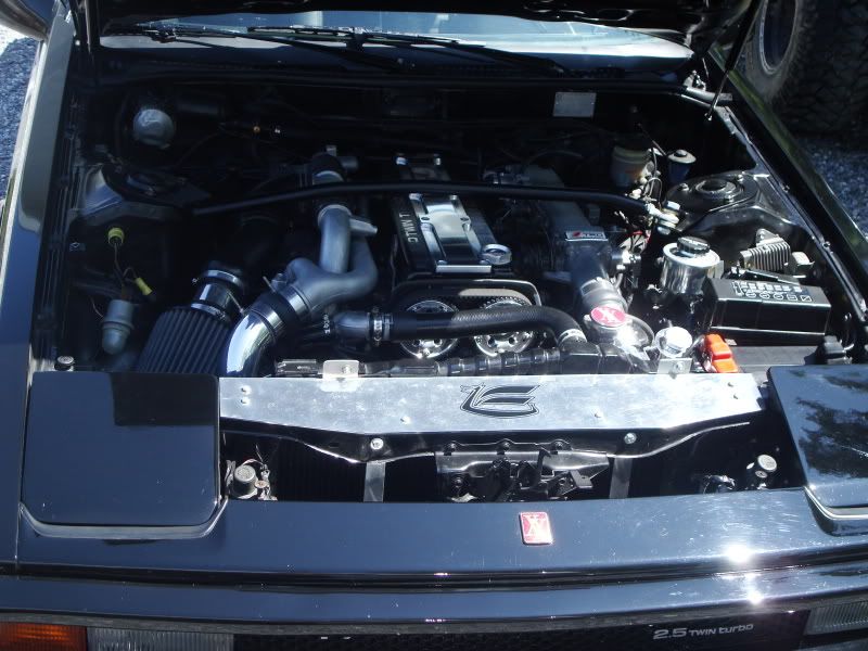 p1352102_3.jpg