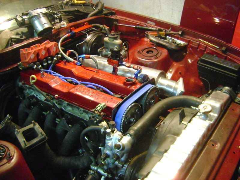 p1354681_6.jpg