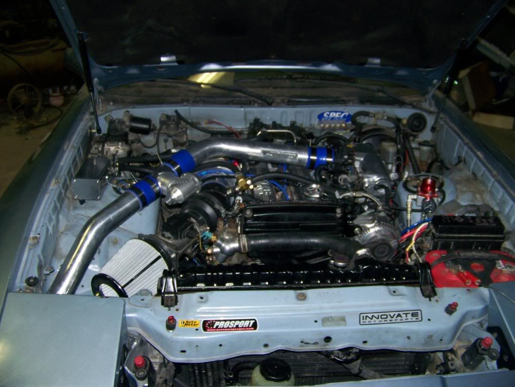 p1354862_1.jpg