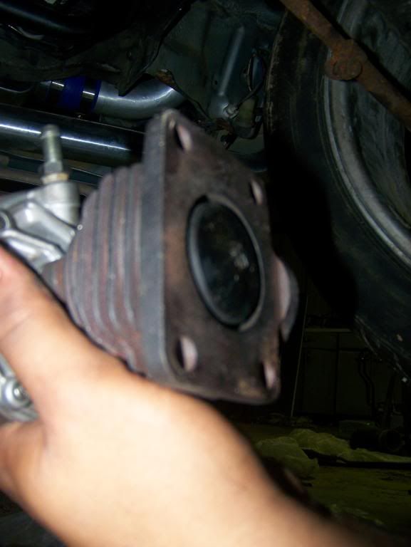 p1354862_7.jpg