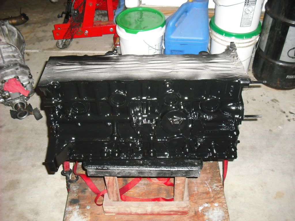 p1358450_1.jpg
