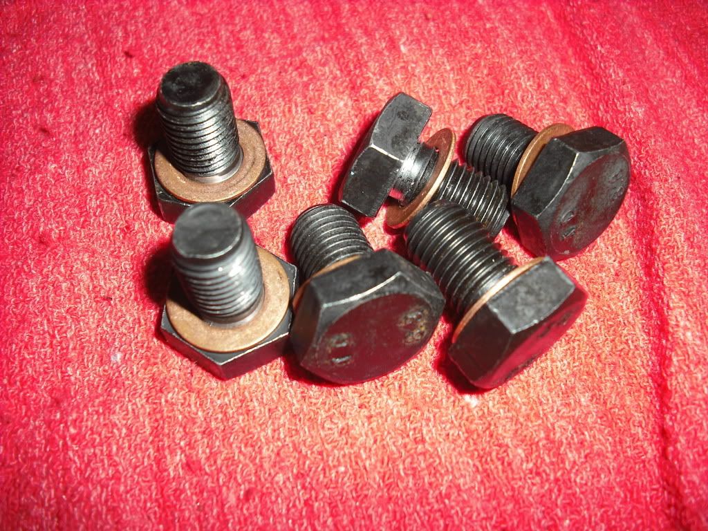 p1358450_2.jpg