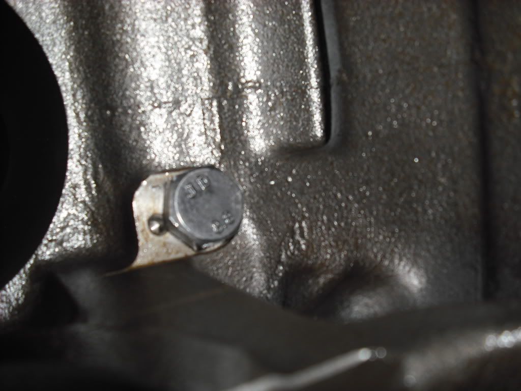 p1358450_3.jpg