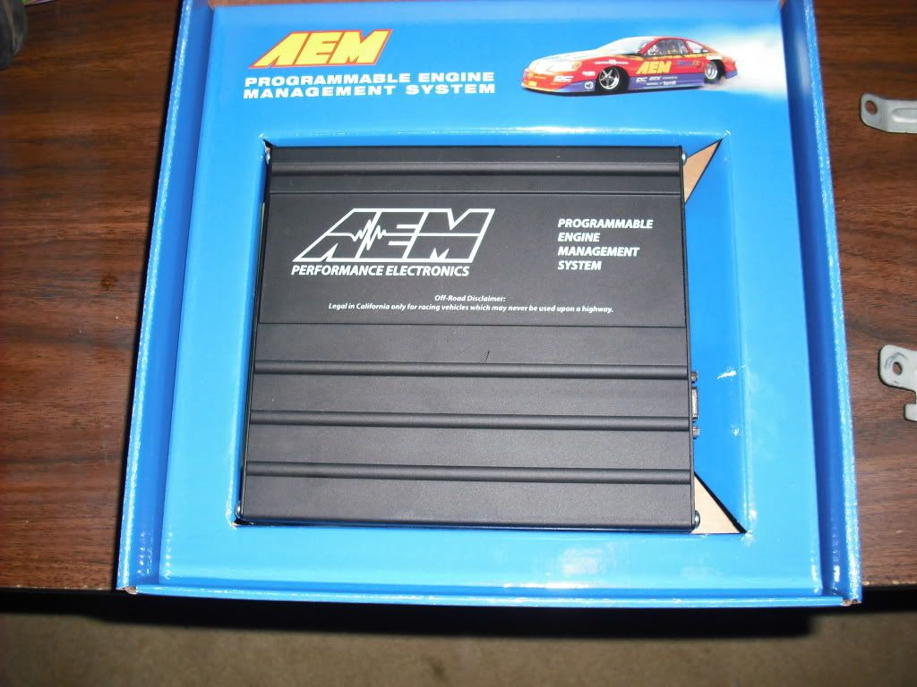 p1358450_4.jpg