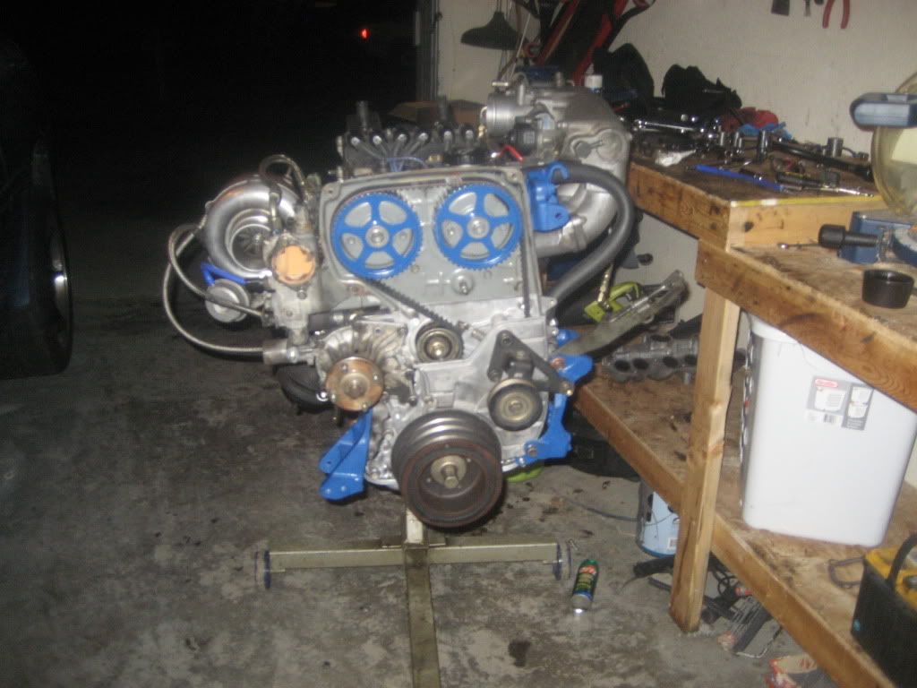 p1358869_1.jpg