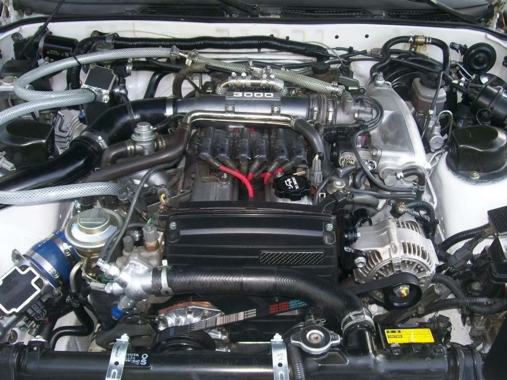 p1361943_1.jpg