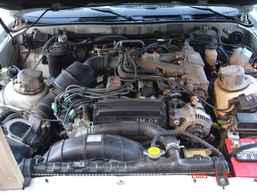 p1362427_2.jpg