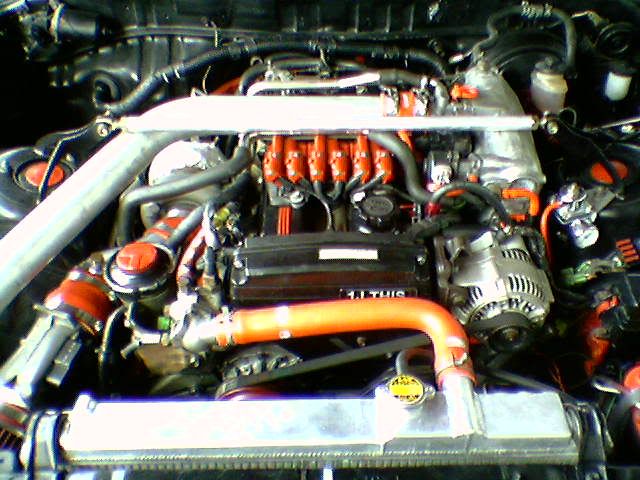 p1375026_1.jpg