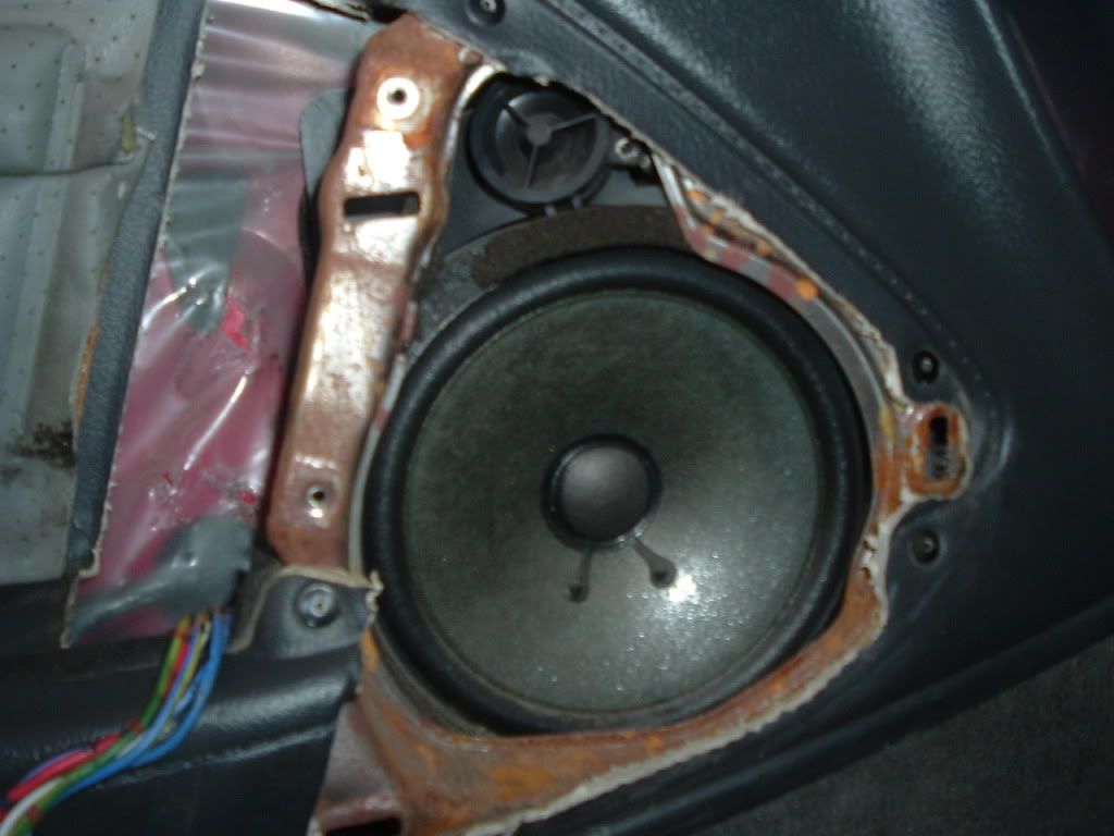p1376668_1.jpg