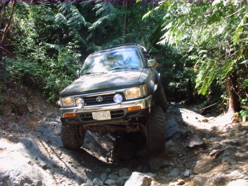 p1383383_2.jpg