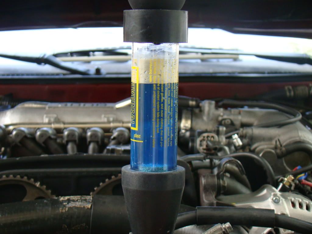 p1383811_2.jpg