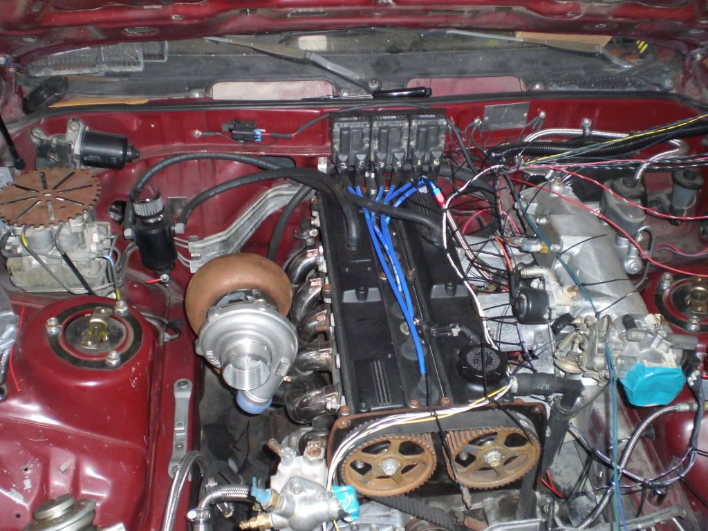 p1385413_2.jpg