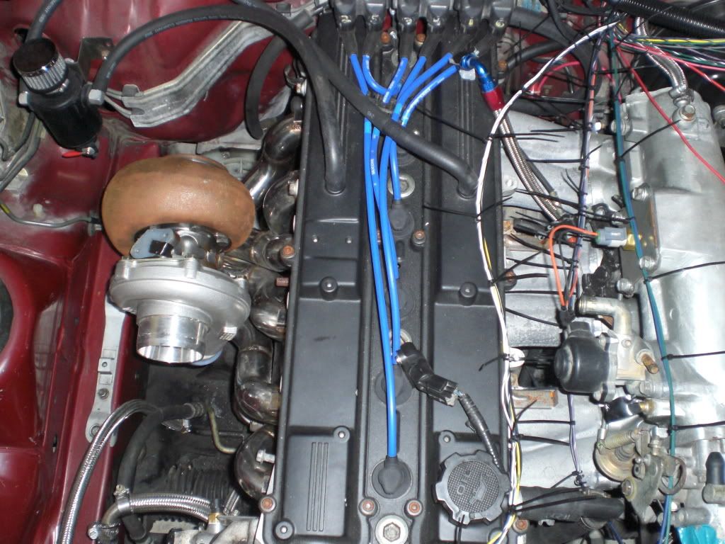 p1387978_1.jpg