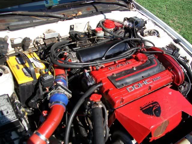 p1391004_1.jpg