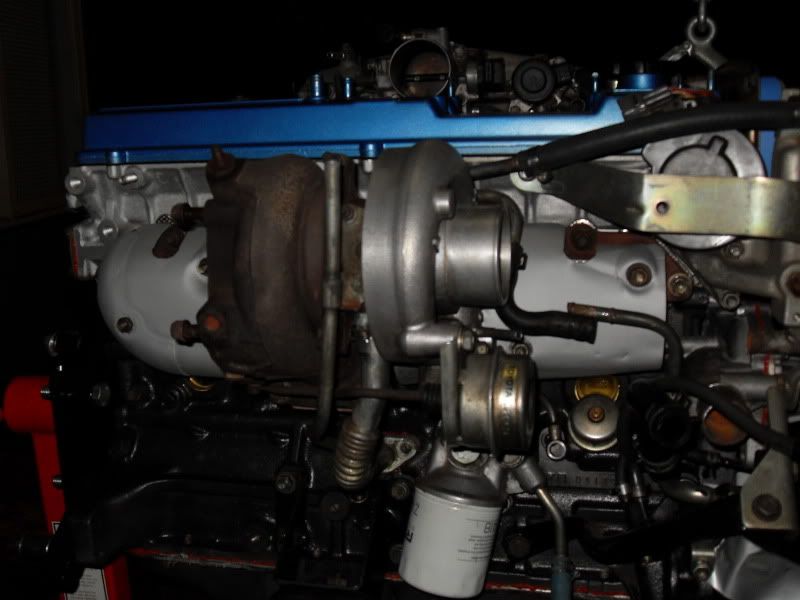 p1401329_2.jpg