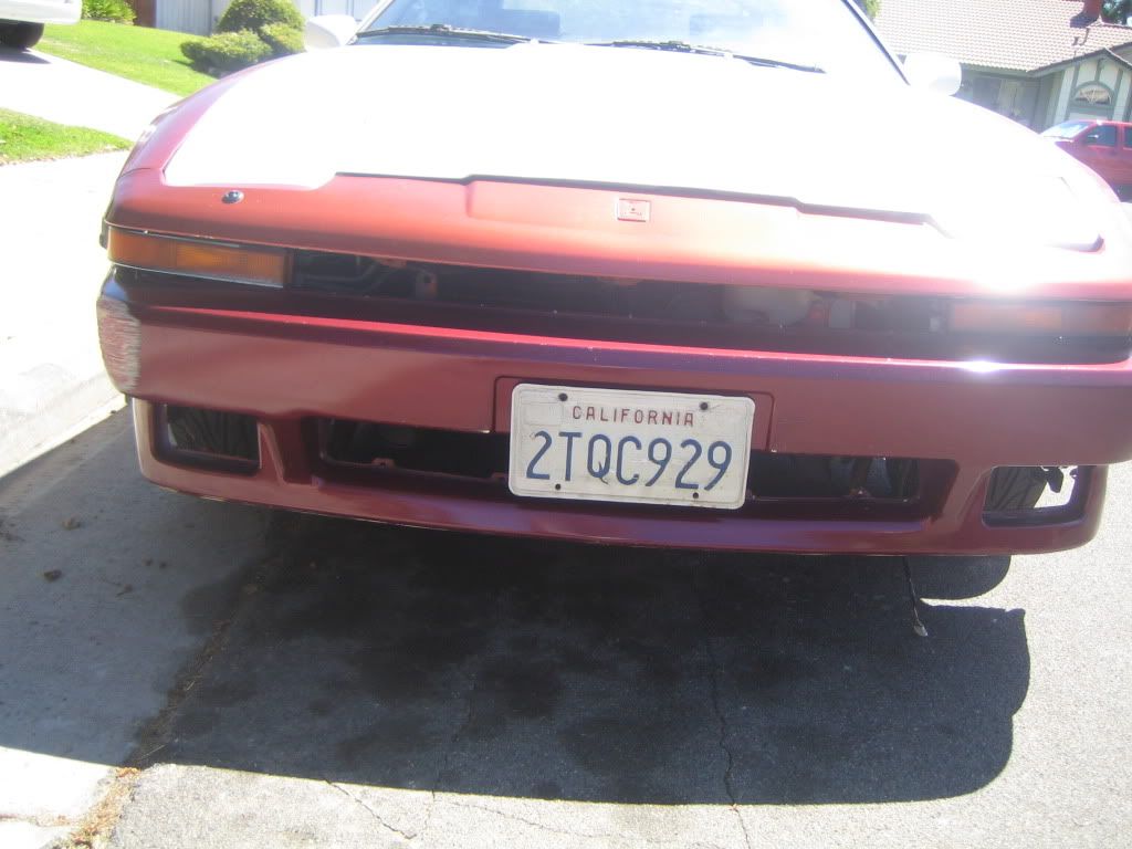 p1403636_1.jpg