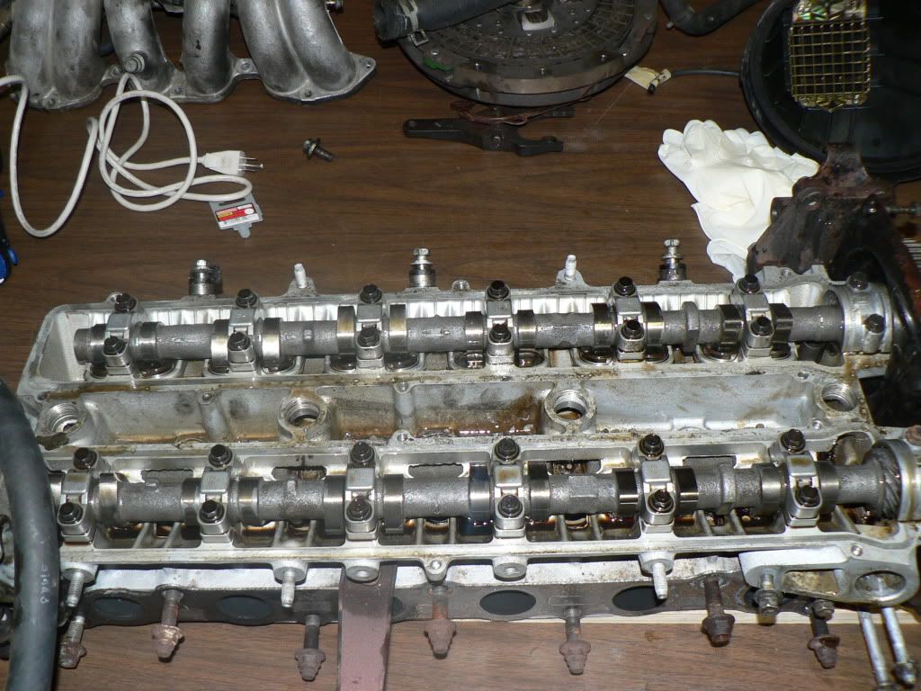 p1404337_4.jpg