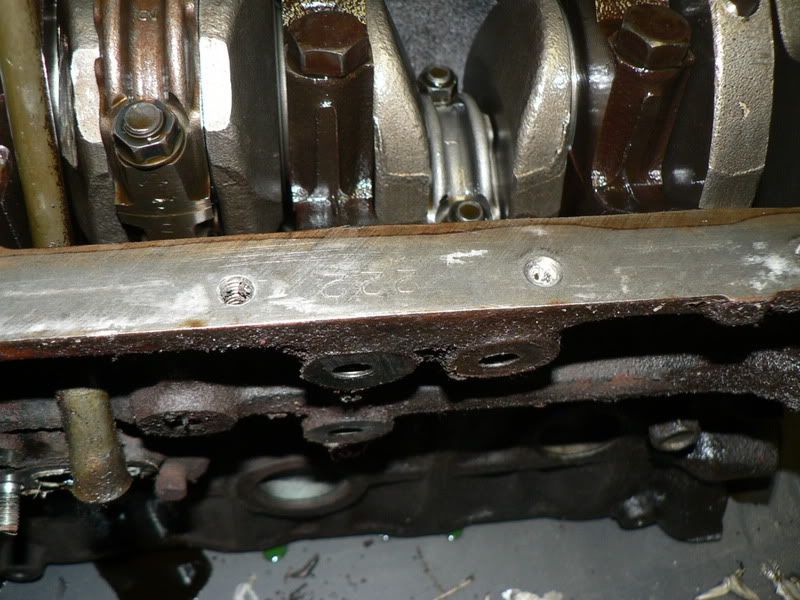 p1404337_5.jpg