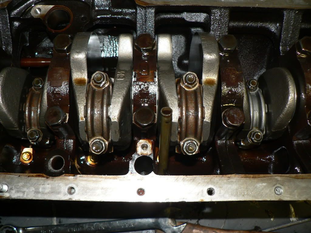 p1404337_6.jpg